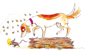 the detective dog the detective dog